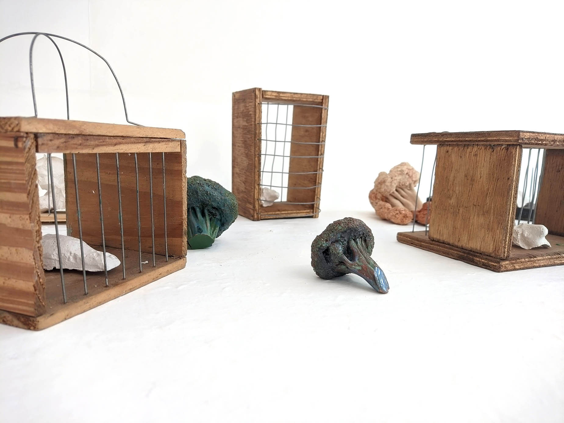 Gaiola de Pássaro, 2020, gesso, madeira, cerâmica esmaltada em alta temperatura e
                arame, dimensões variáveis  - Andre Barion 