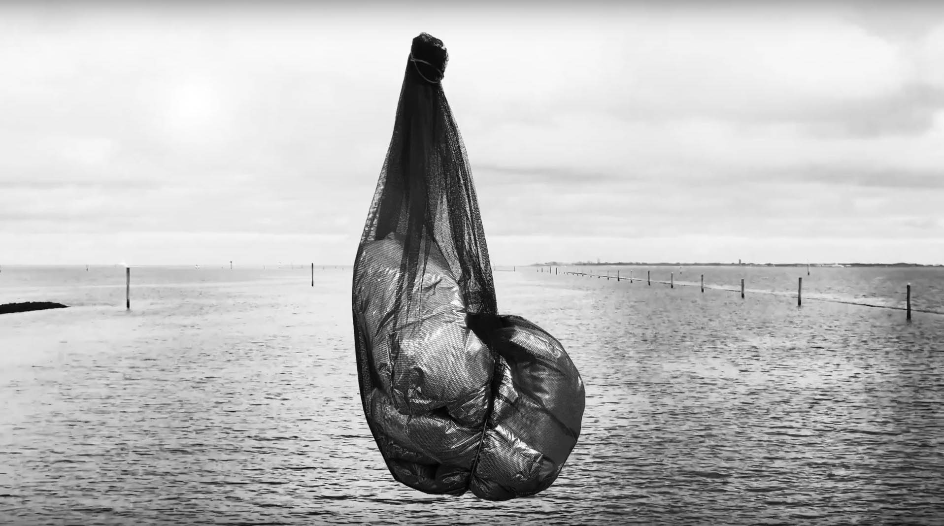 Obra - Andre Barion 